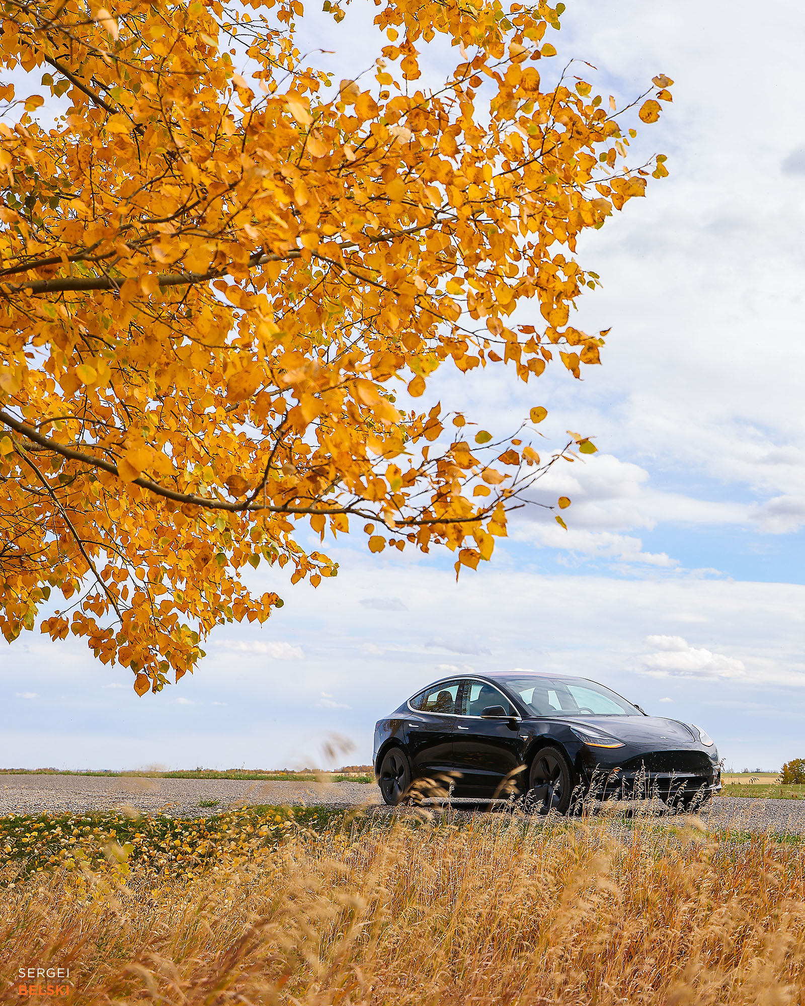 my Tesla adventures travel photographer sergei belski photo