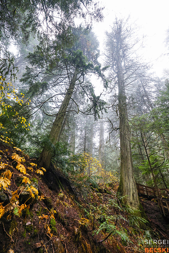 bc photo trip travel photographer sergei belski photo