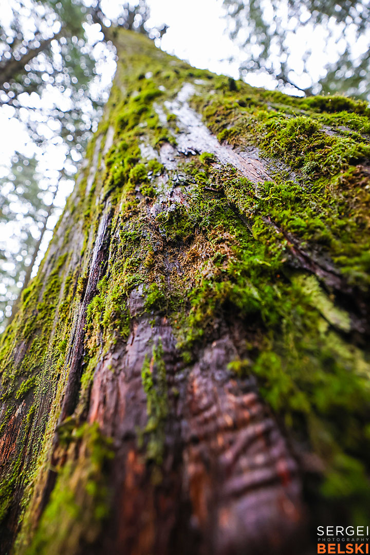 bc photo trip travel photographer sergei belski photo