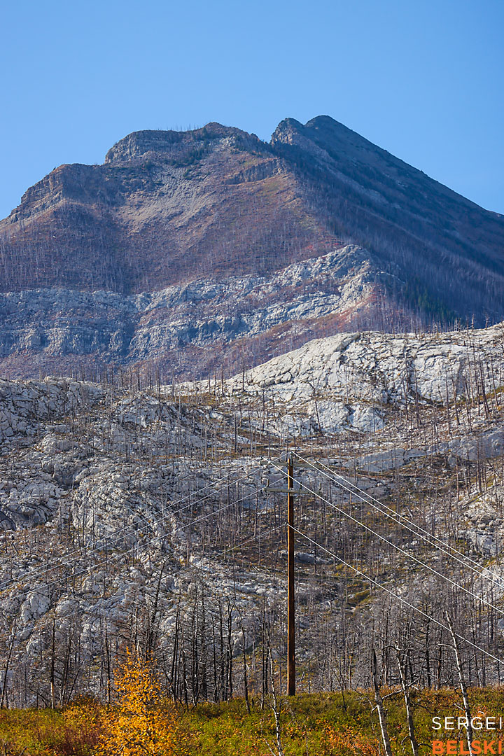 fortis alberta corporate calgary photographer sergei belski photo