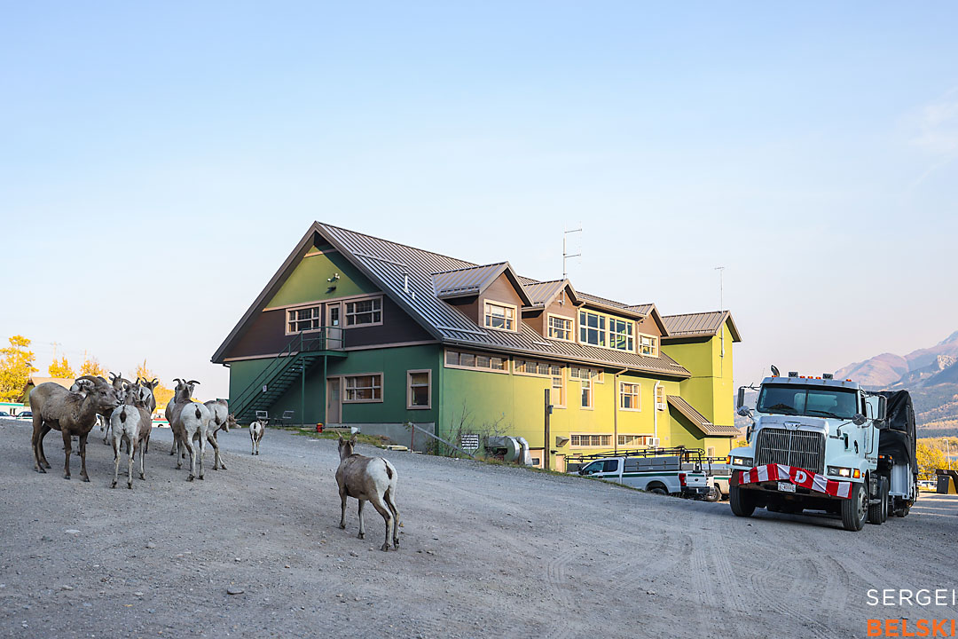 fortis alberta corporate calgary photographer sergei belski photo