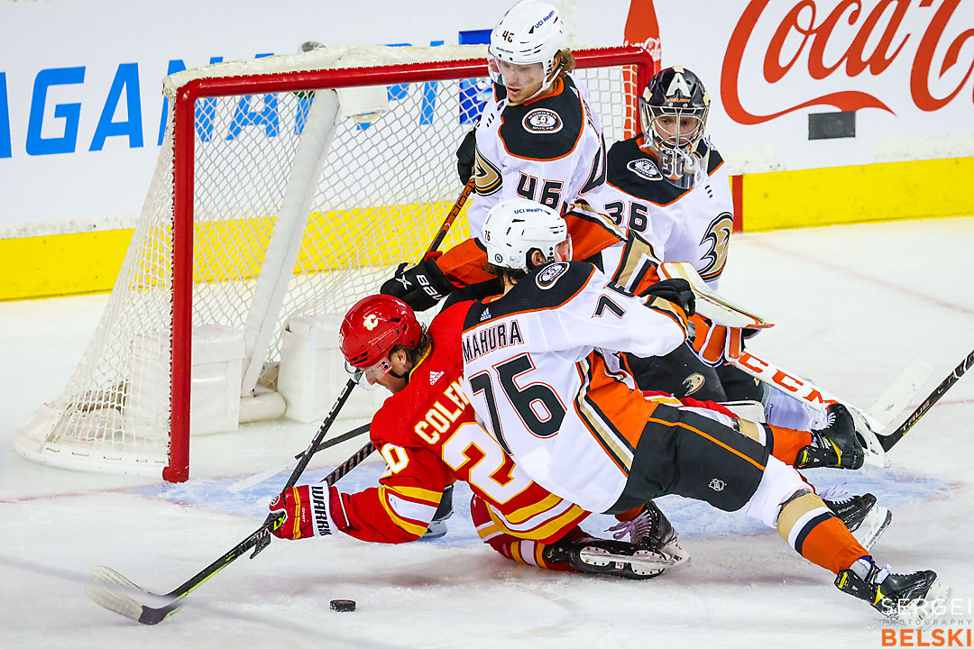 nhl hockey calgary sports photographer sergei belski photo