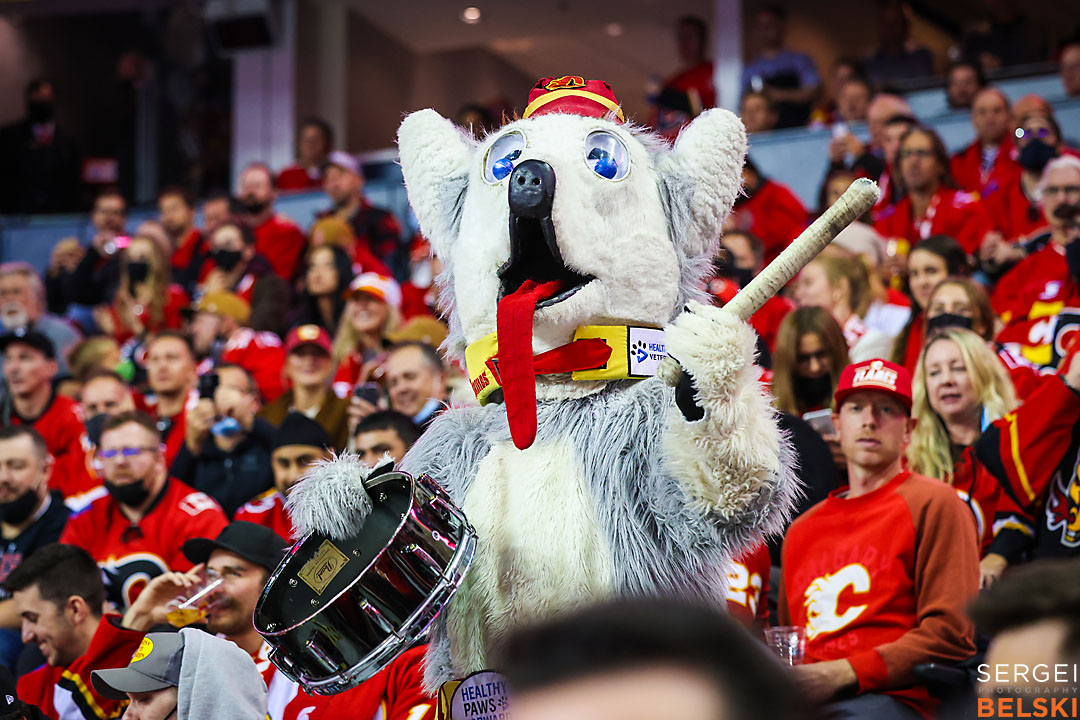 nhl hockey calgary sports photographer sergei belski photo