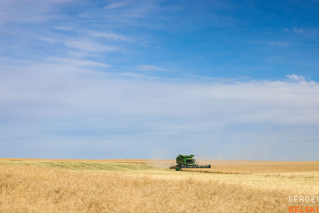 olds college harvest photographer sergei belski photo