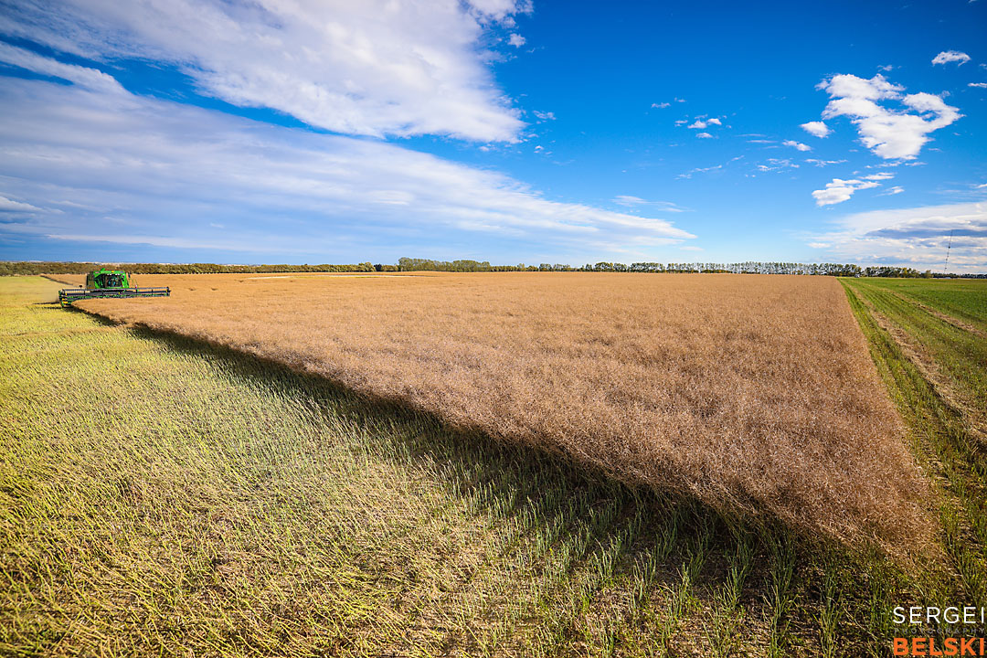 olds college harvest photographer sergei belski photo