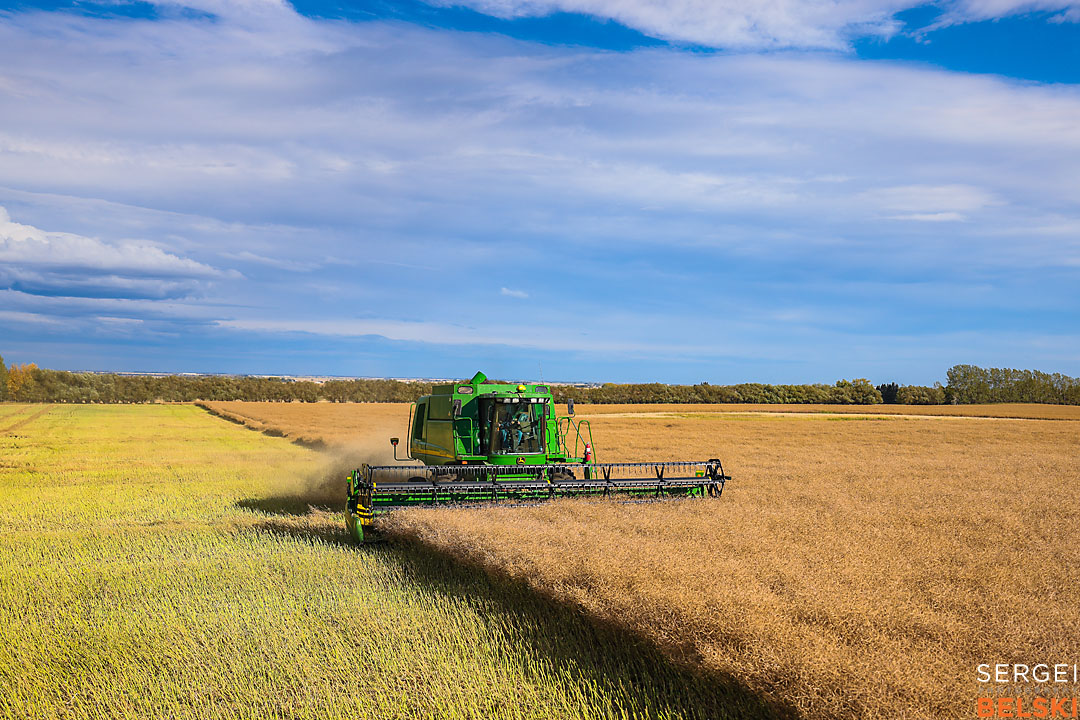 olds college harvest photographer sergei belski photo