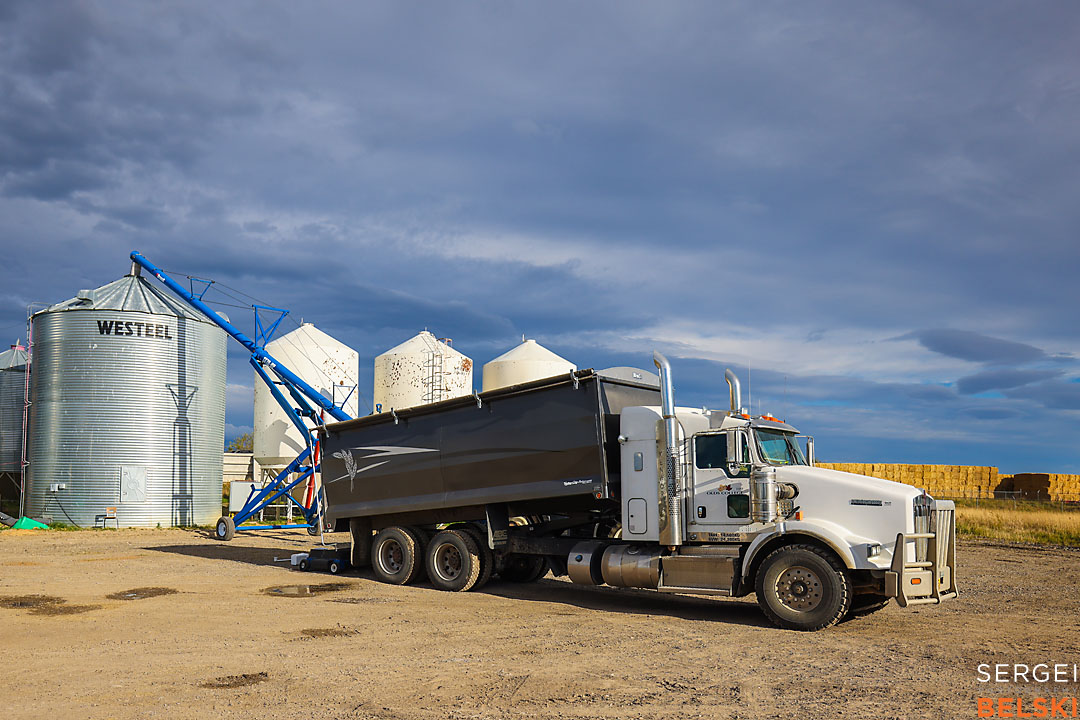 olds college harvest photographer sergei belski photo