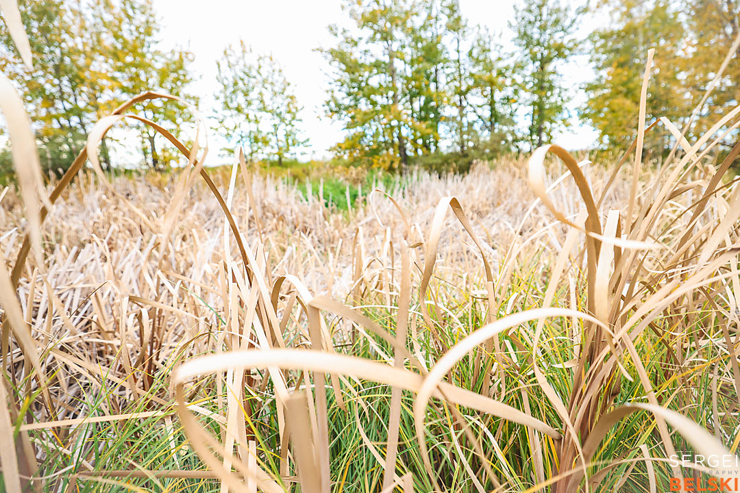 olds college photographer sergei belski photo