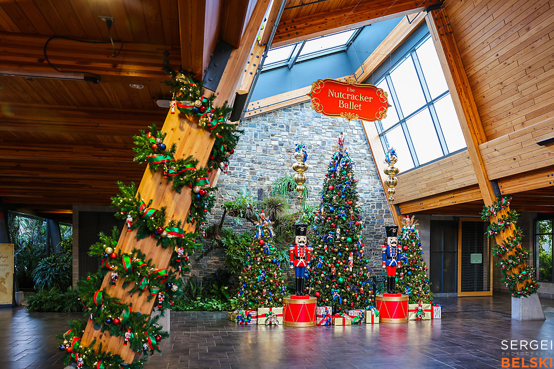 calgary zoo event photographer sergei belski photo