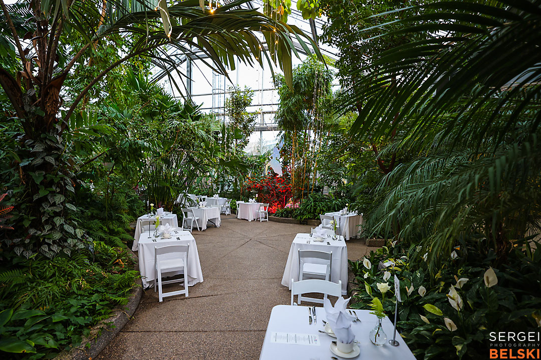 calgary zoo event photographer sergei belski photo