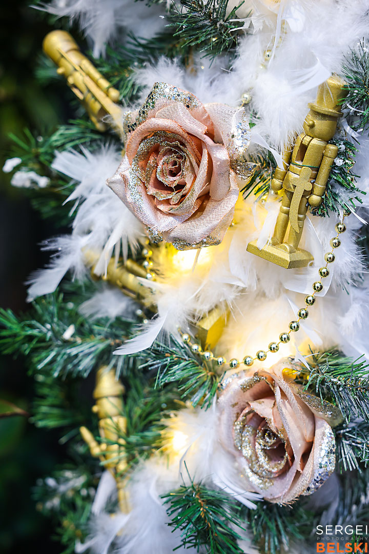 calgary zoo event photographer sergei belski photo