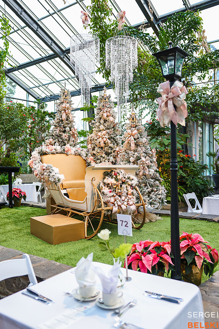 calgary zoo event photographer sergei belski photo