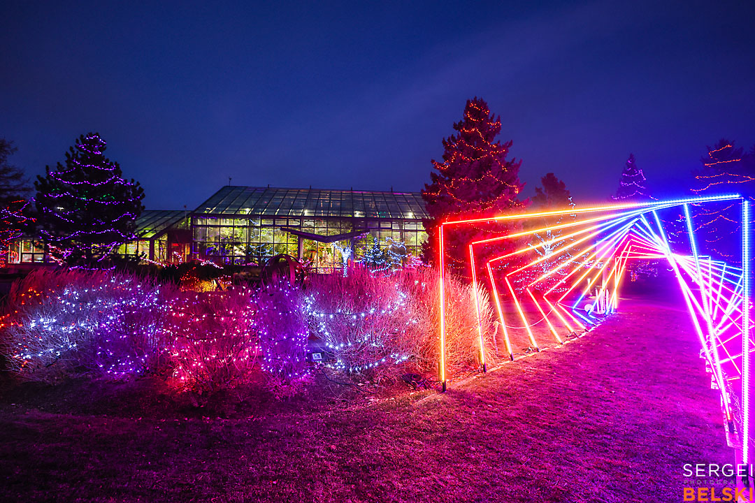 calgary zoo event photographer sergei belski photo