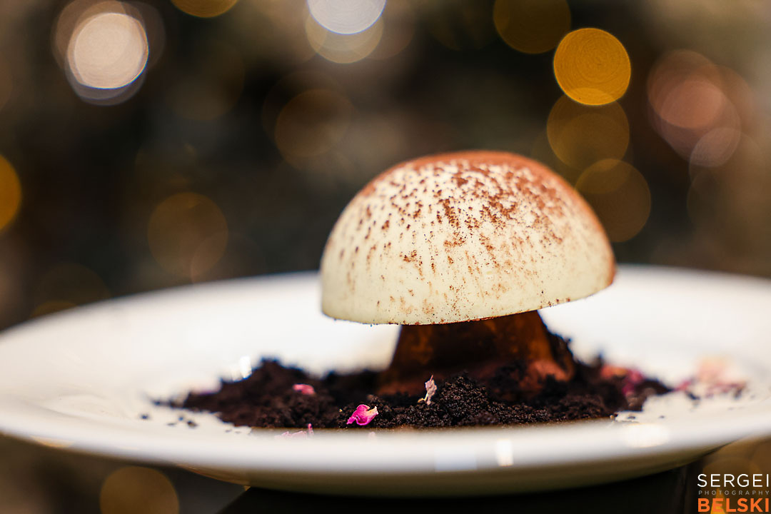 calgary zoo event photographer sergei belski photo