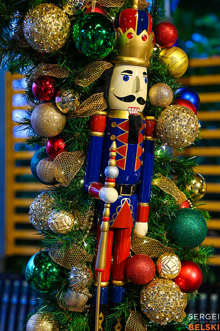 calgary zoo event photographer sergei belski photo