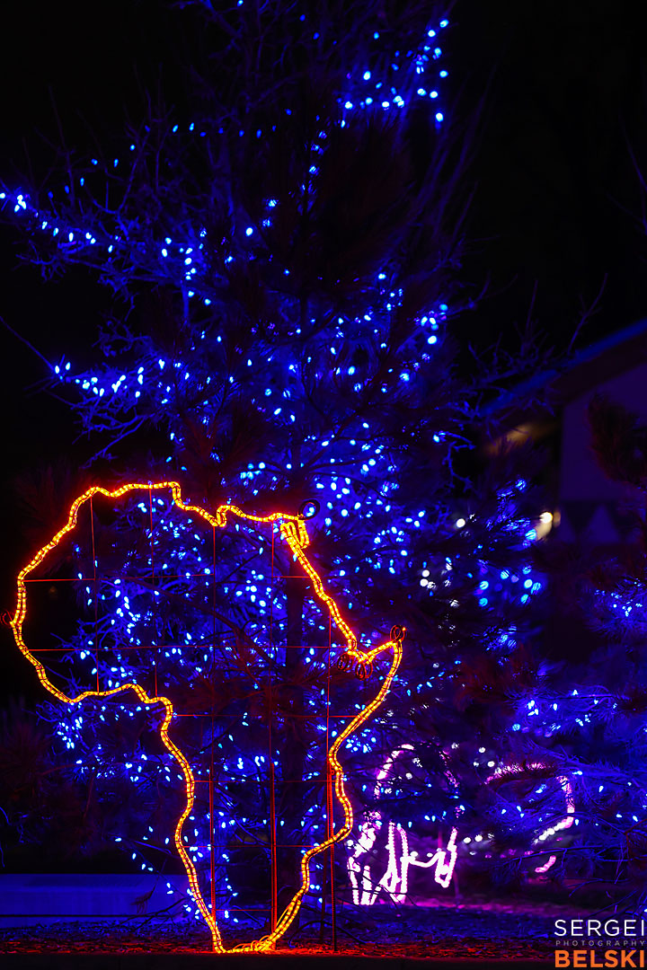 calgary zoo event photographer sergei belski photo