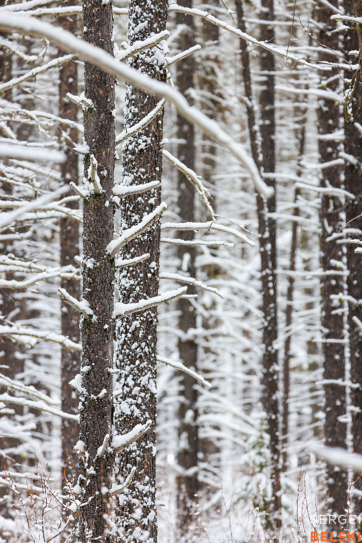 my Tesla adventures travel photographer sergei belski photo