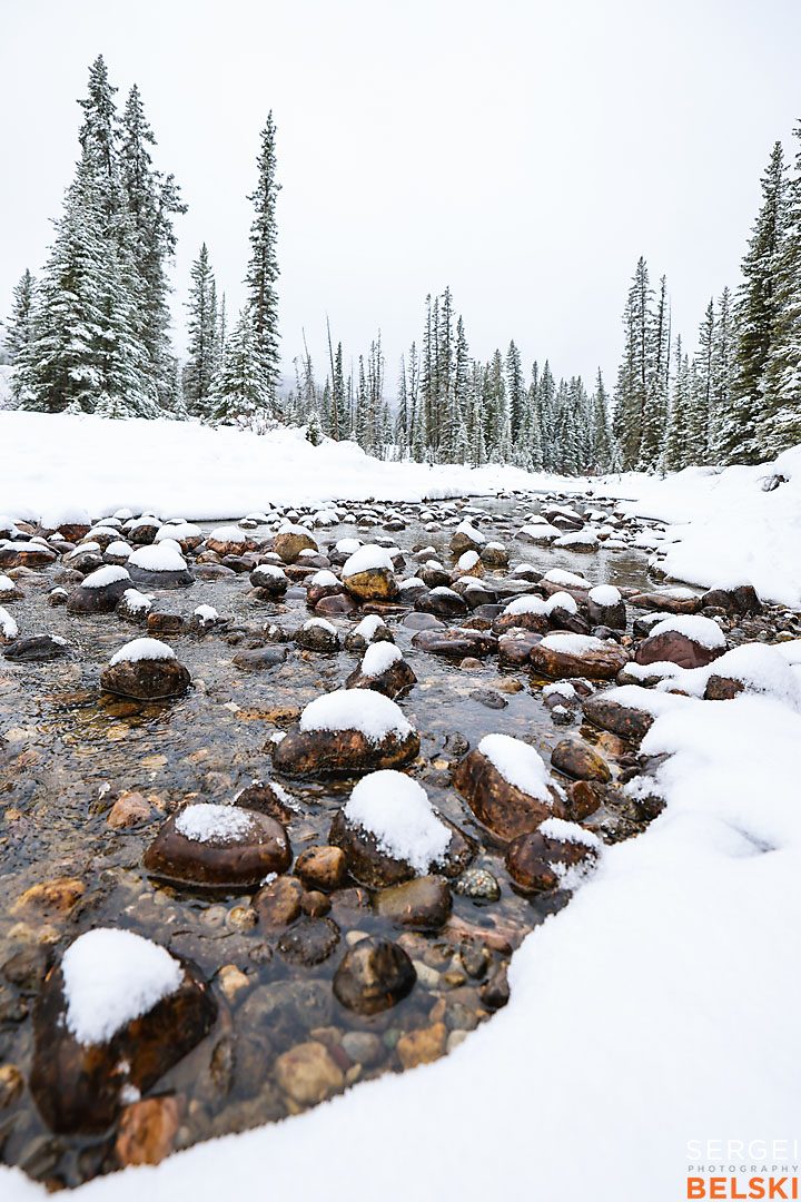 my Tesla adventures travel photographer sergei belski photo