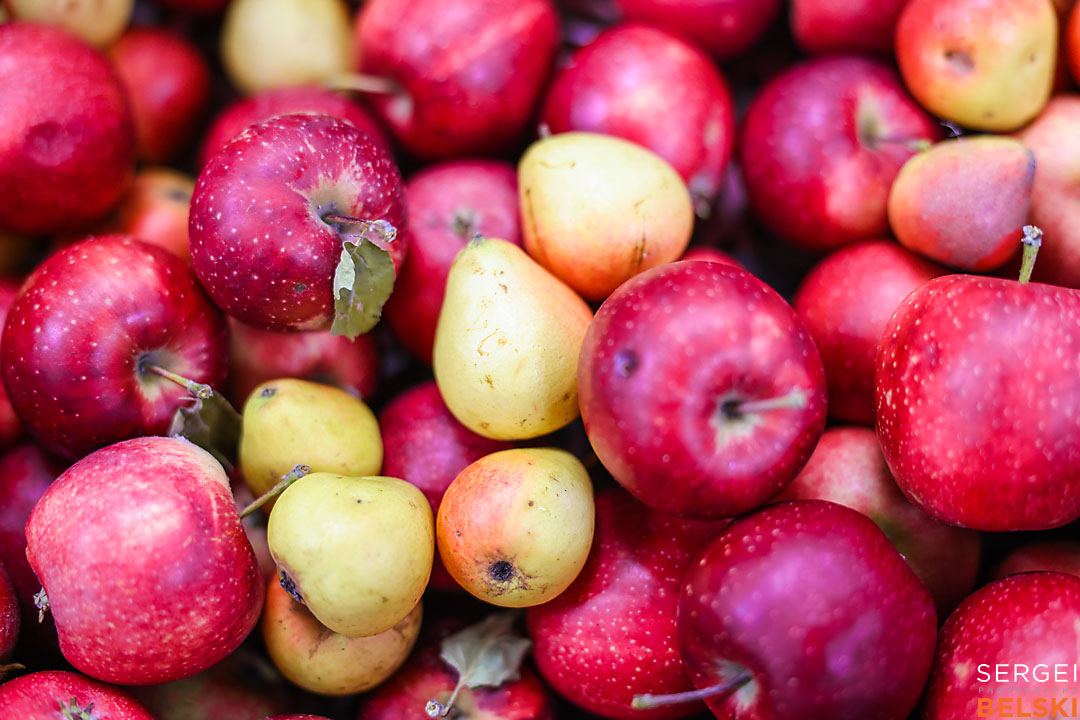olds college photographer sergei belski photo
