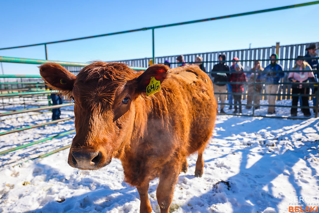 olds college photographer sergei belski photo