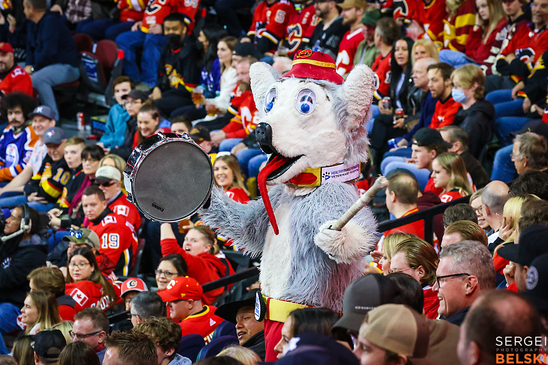 nhl hockey calgary flames sports photographer sergei belski photo