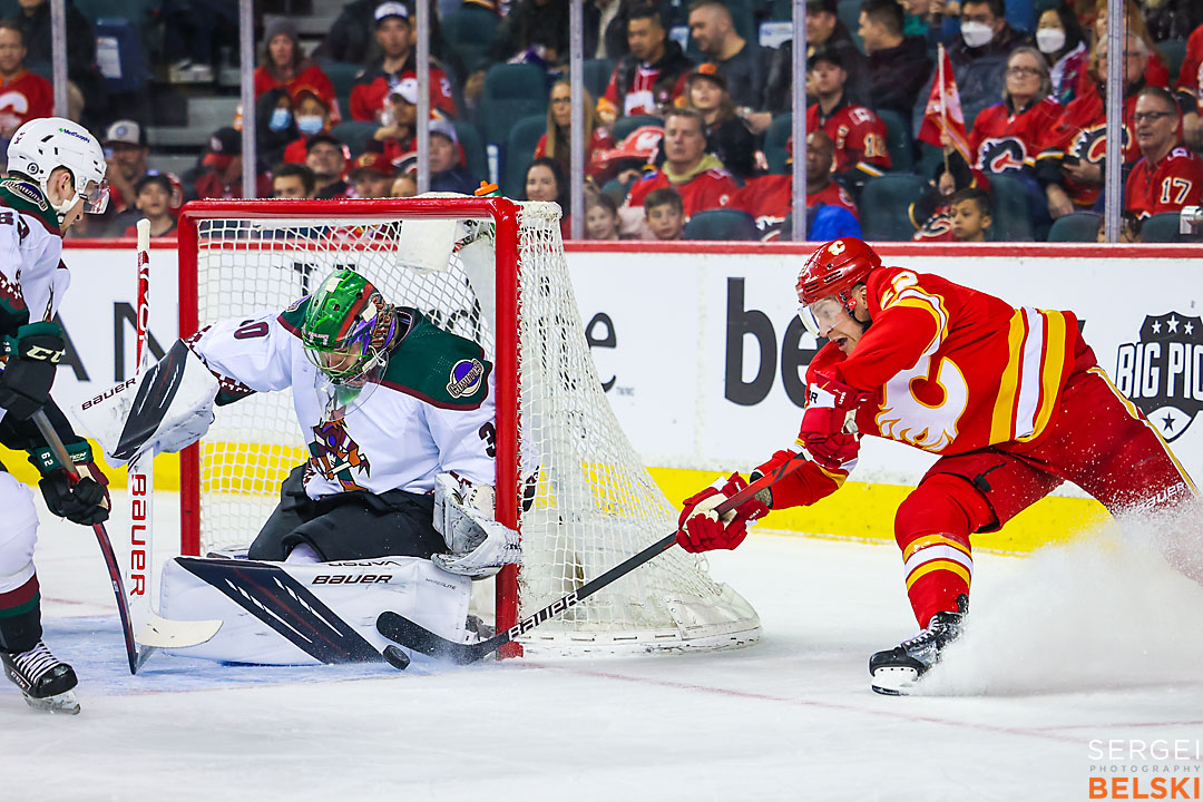 nhl hockey calgary flames sports photographer sergei belski photo
