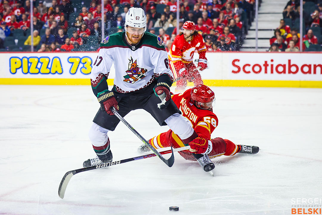 nhl hockey calgary flames sports photographer sergei belski photo