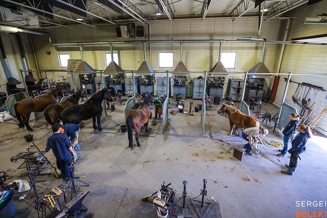 olds college photographer sergei belski photo