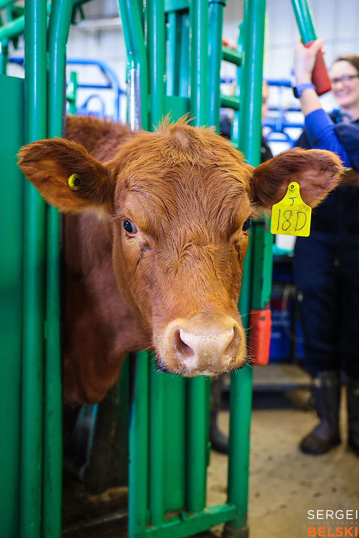 olds college photographer sergei belski photo