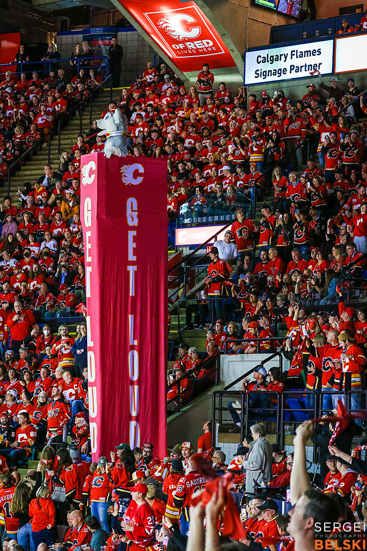 nhl hockey calgary flames sports photographer sergei belski photo