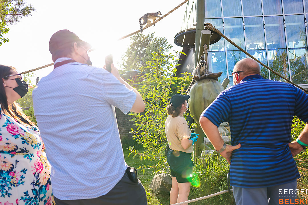 calgary zoo event photographer sergei belski photo