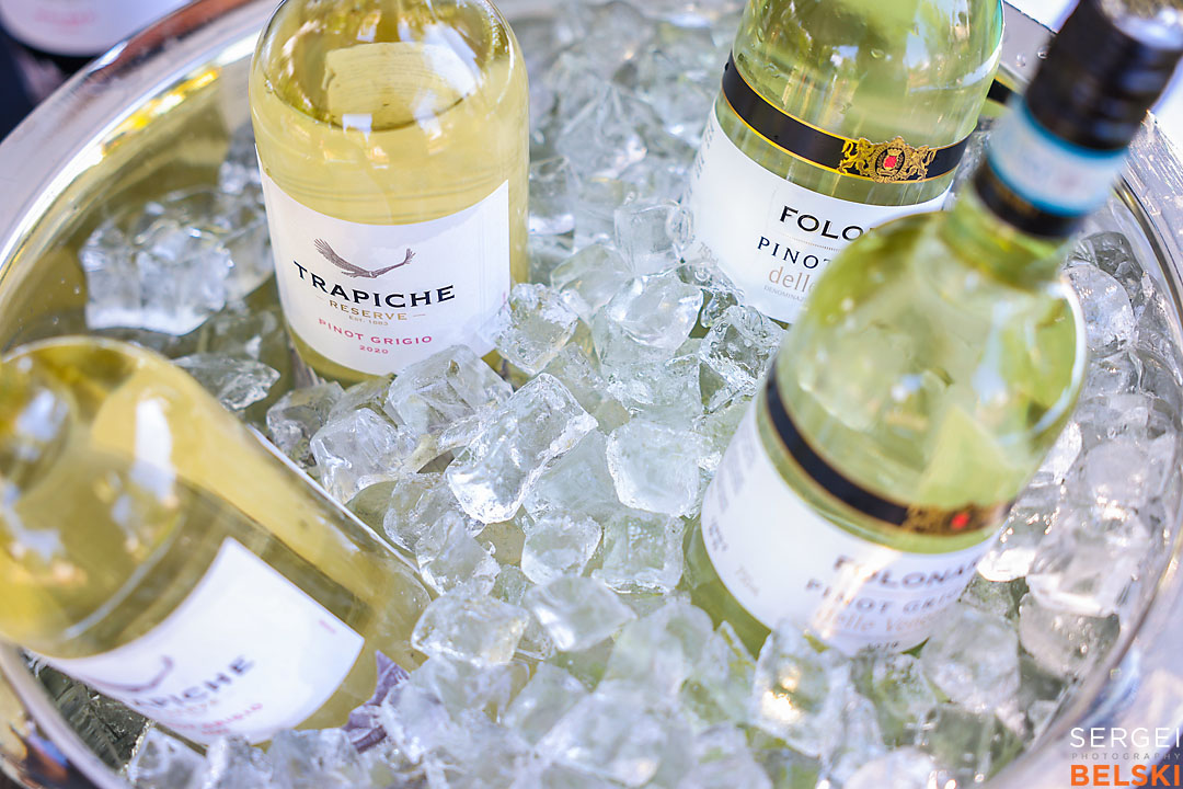 calgary zoo event photographer sergei belski photo