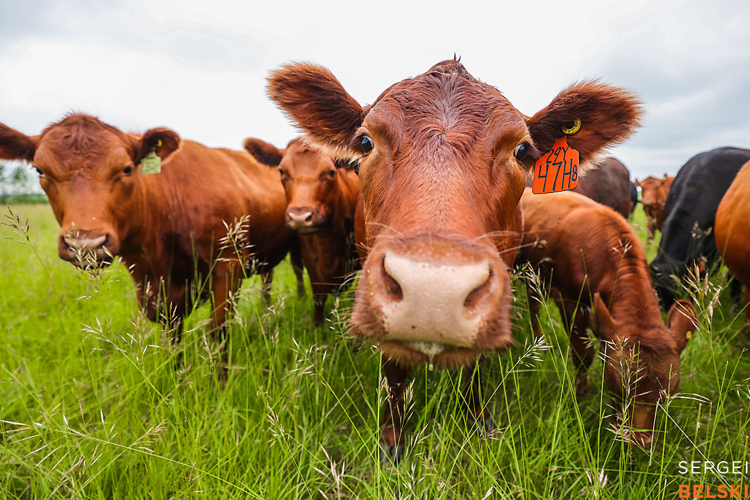 olds college photographer sergei belski photo