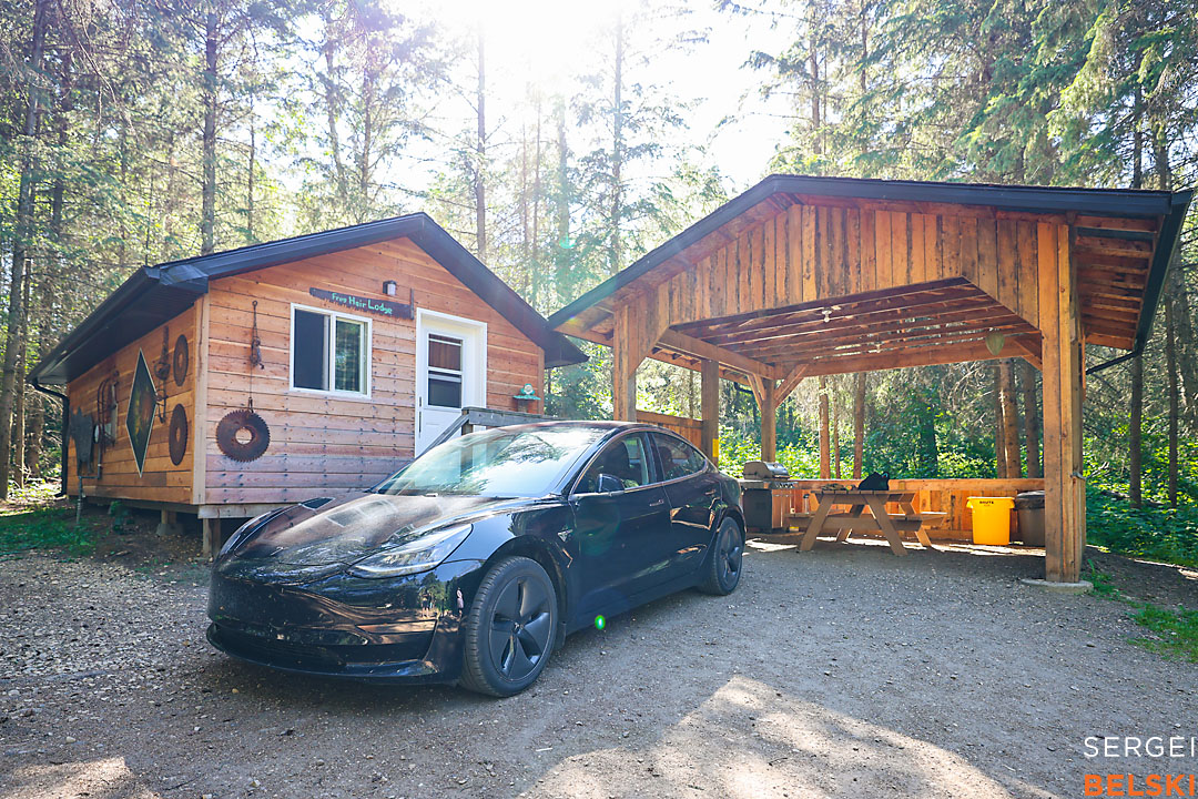 wildlife travel photographer sergei belski photo