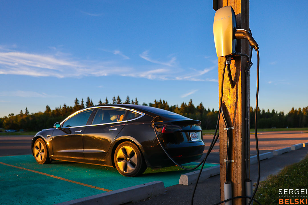 wildlife travel photographer sergei belski photo