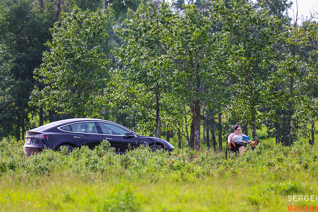 wildlife travel photographer sergei belski photo