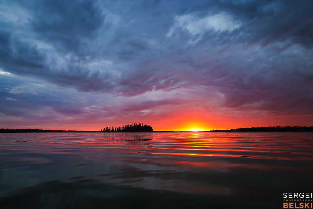 wildlife travel photographer sergei belski photo