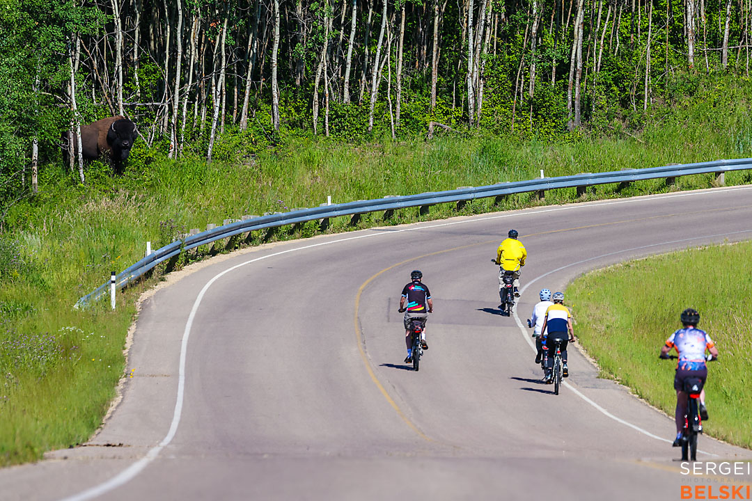 wildlife travel photographer sergei belski photo
