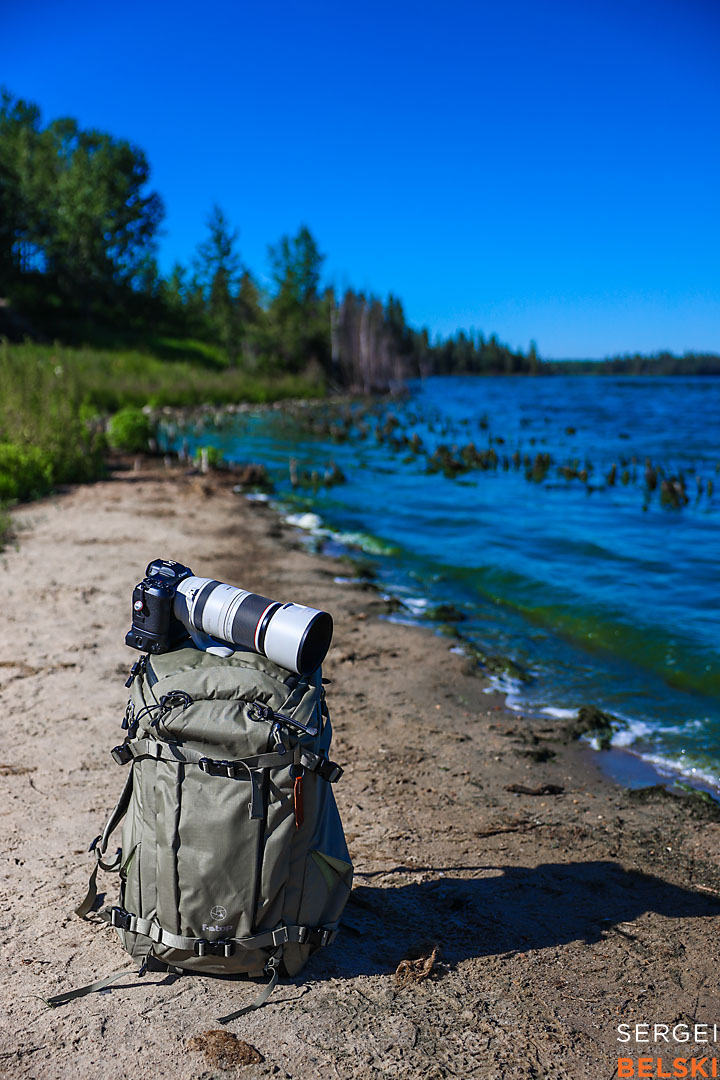 wildlife travel photographer sergei belski photo