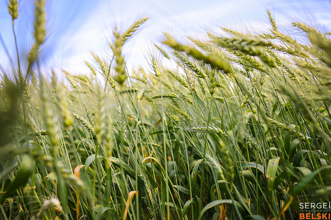 agsmart olds college event photographer sergei belski photo