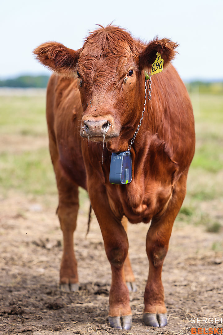 agsmart olds college event photographer sergei belski photo