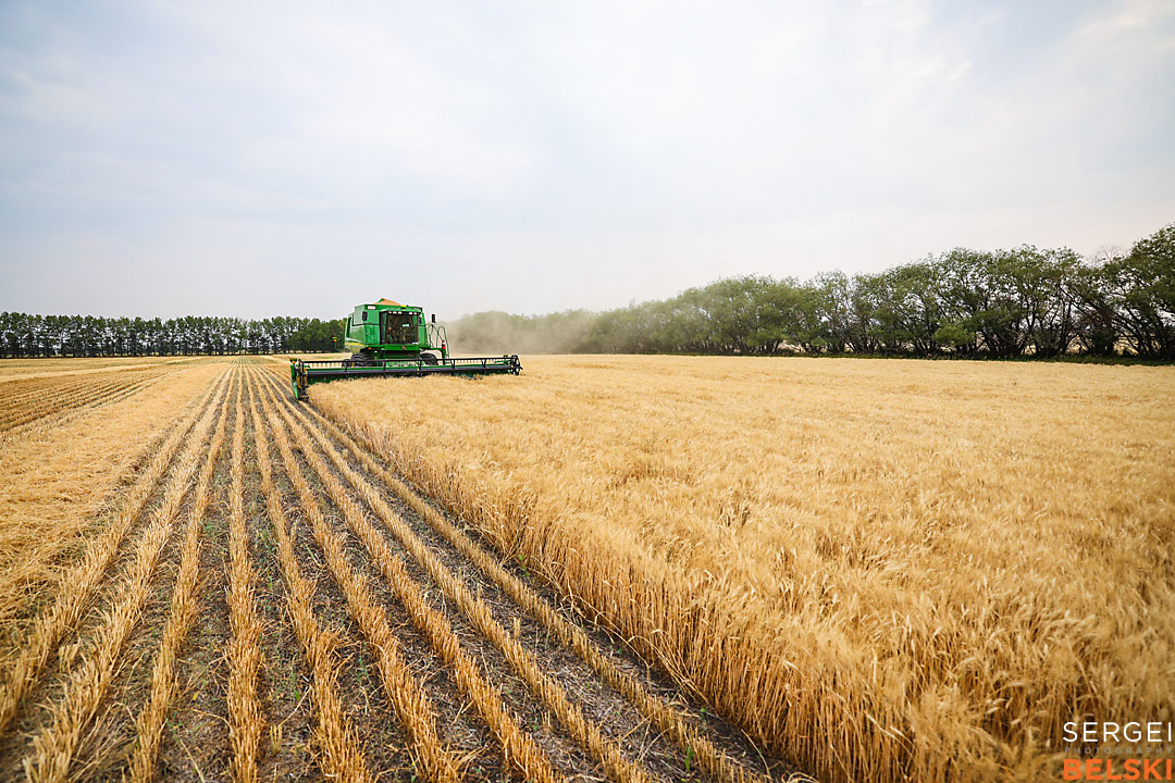 olds college harvest photographer sergei belski photo