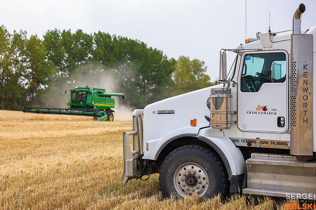 olds college harvest photographer sergei belski photo