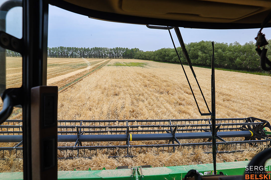olds college harvest photographer sergei belski photo