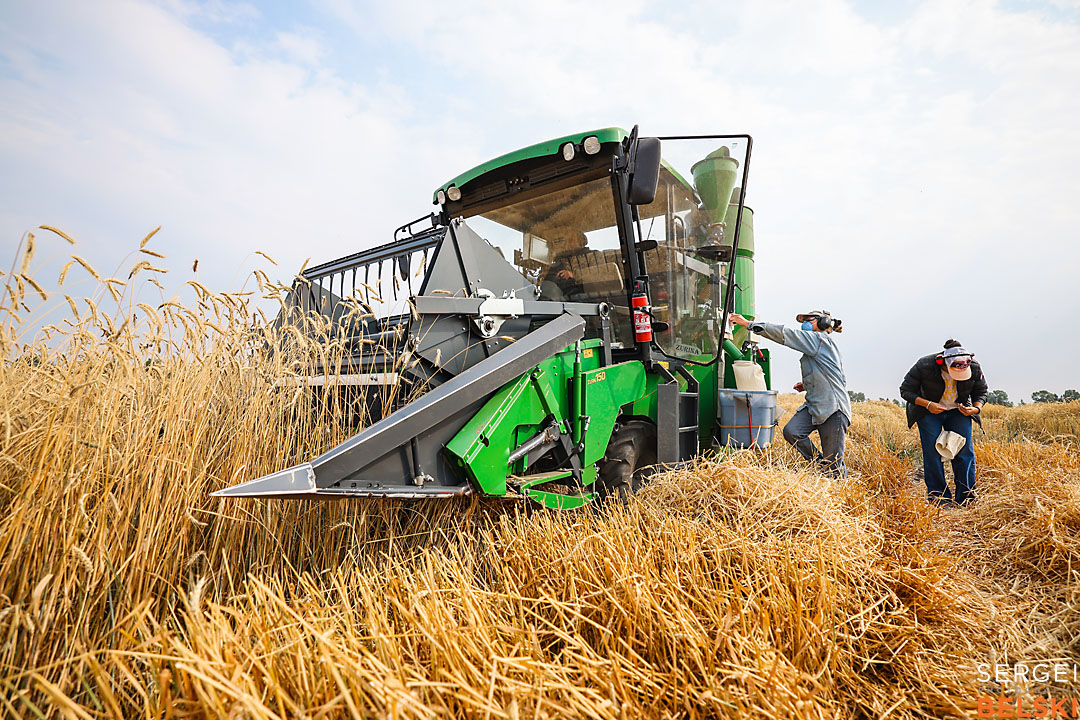 olds college harvest photographer sergei belski photo