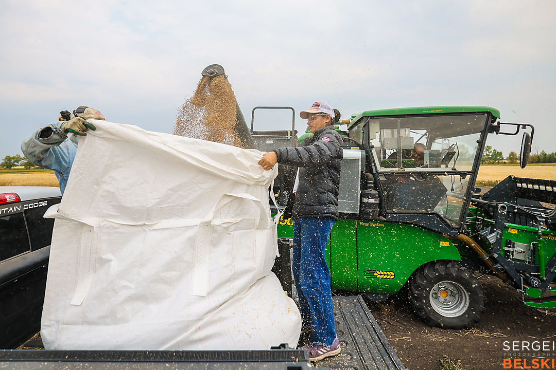 olds college harvest photographer sergei belski photo