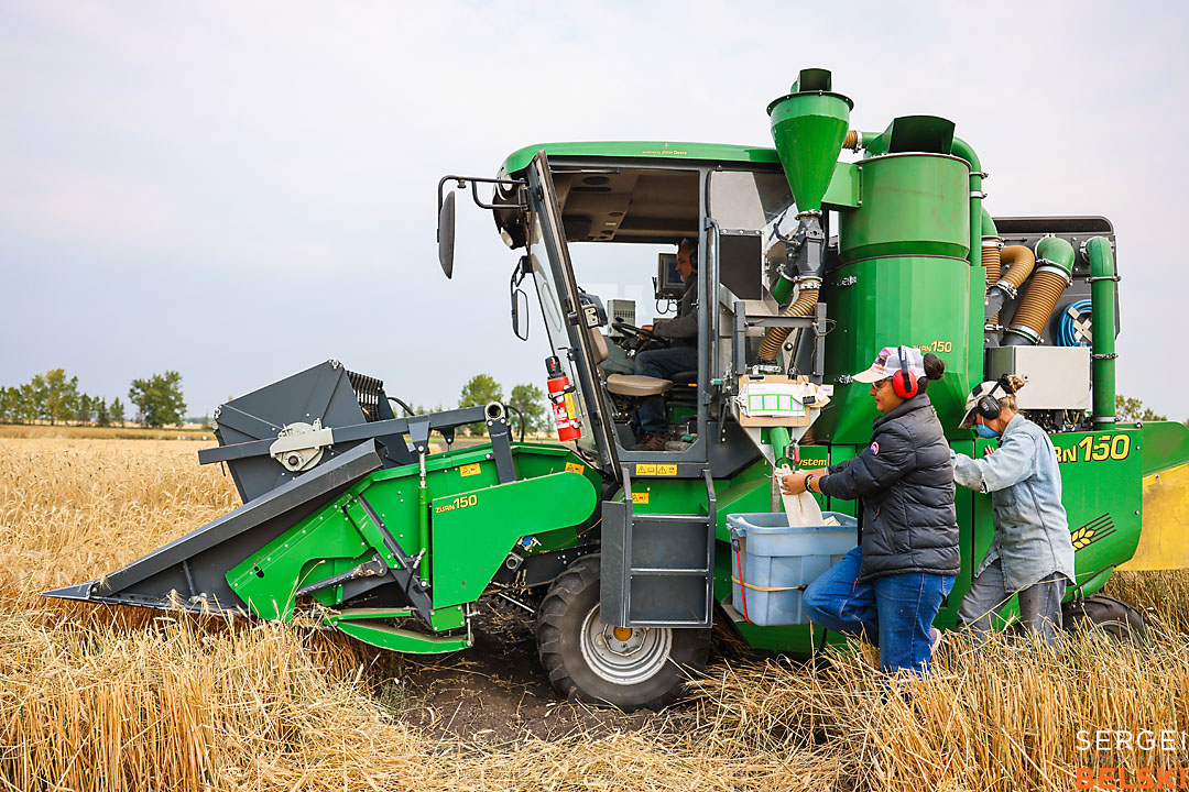 olds college harvest photographer sergei belski photo