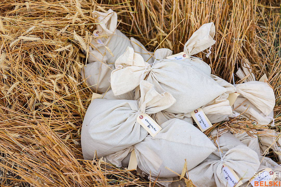 olds college harvest photographer sergei belski photo