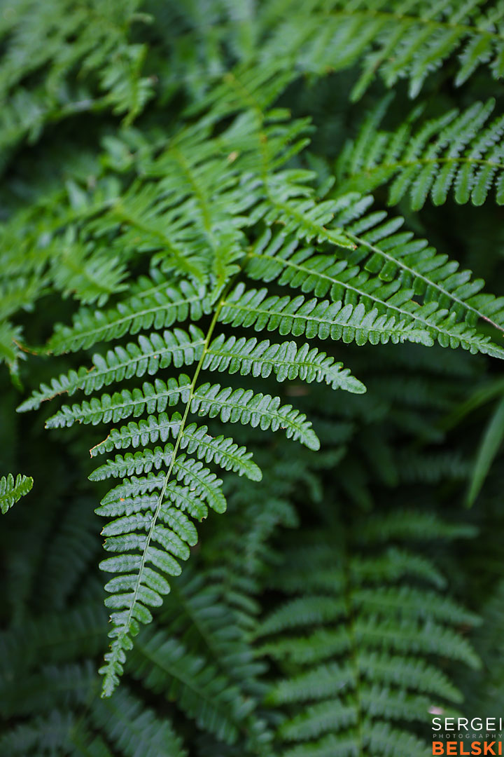 kelowna travel photographer sergei belski photo