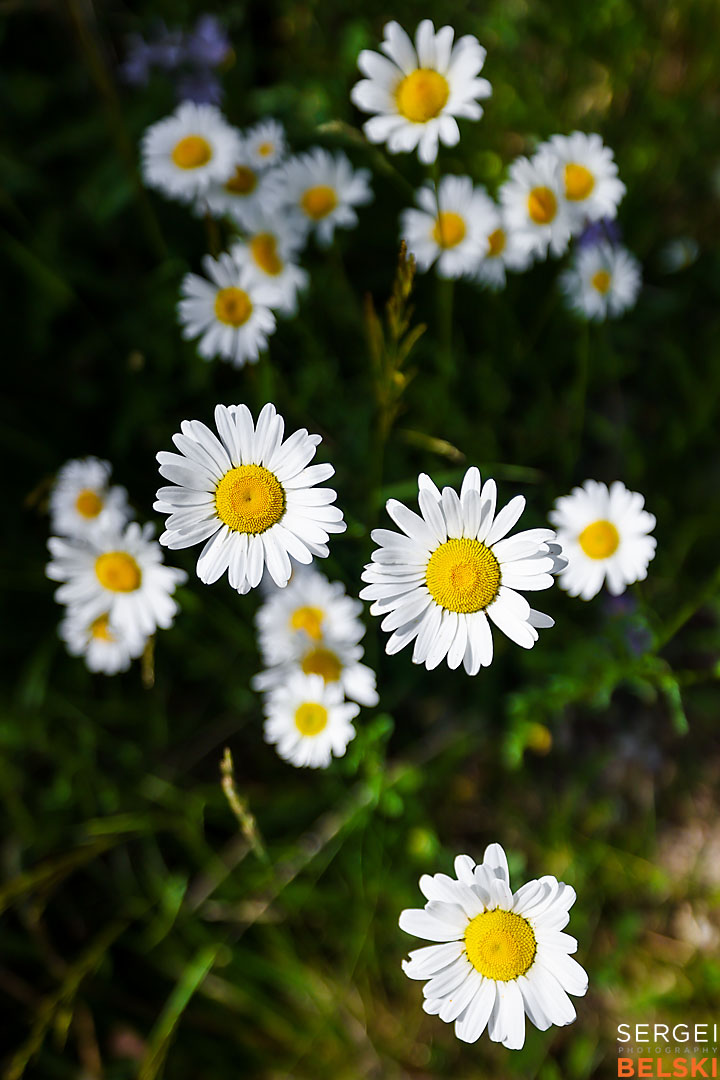 kelowna travel photographer sergei belski photo